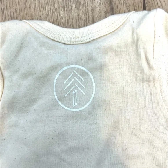 Tenth & Pine | pumpkin onesie bodysuit | 0-3 - Picture 3 of 3